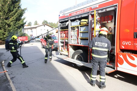Jesenski sejem in bazar semen 21 Foto Ljubo Vukelič